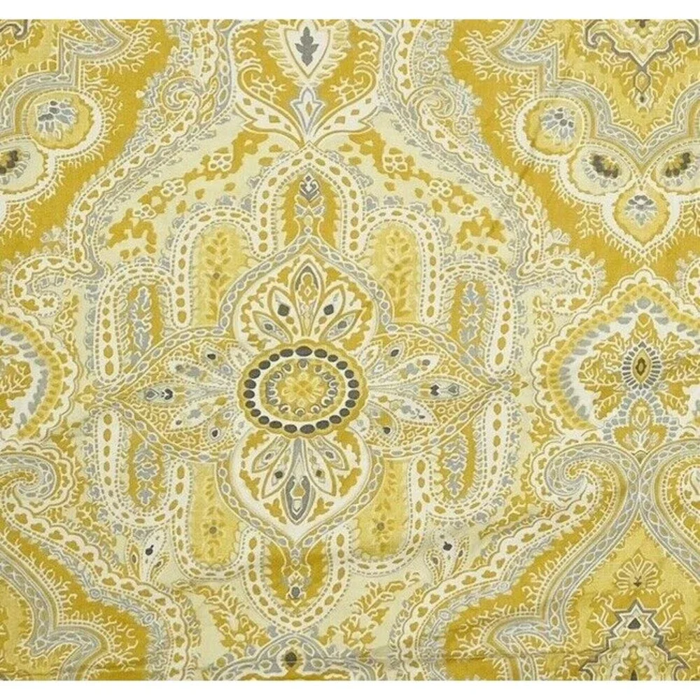 Pottery Barn Viola Paisley (1) KING Pillow Sham